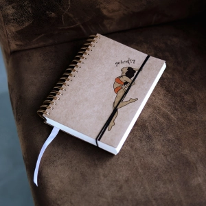 Planer Pole Dance 5.0